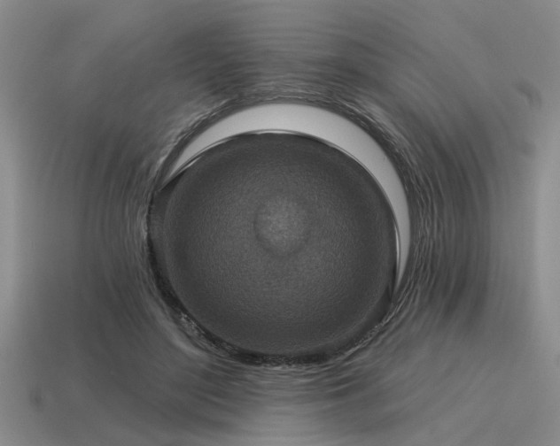 X0000115610500200911101430