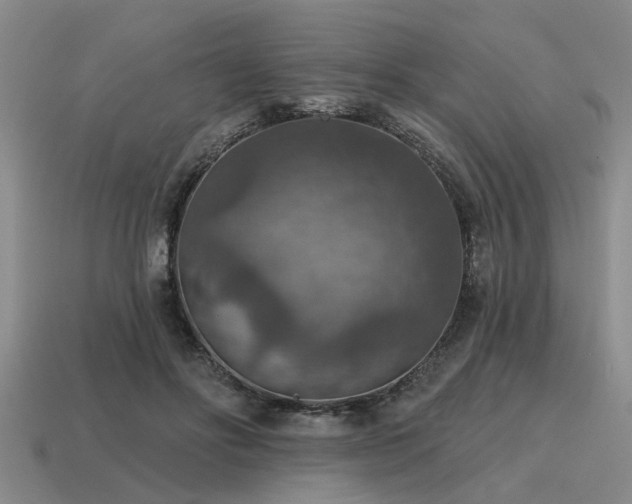 X0000115610502200911101430