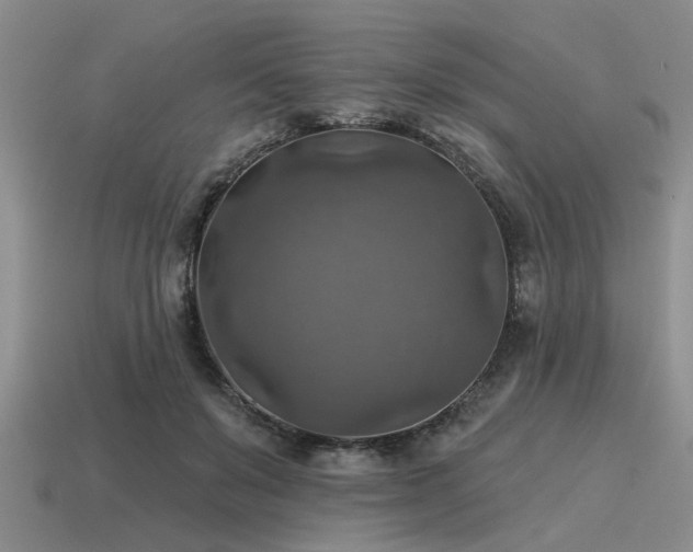 X0000115610503200911101430