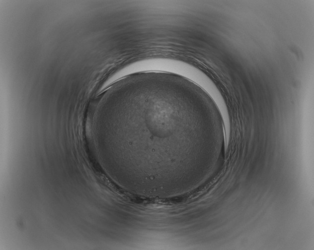 X0000115610504200911101430