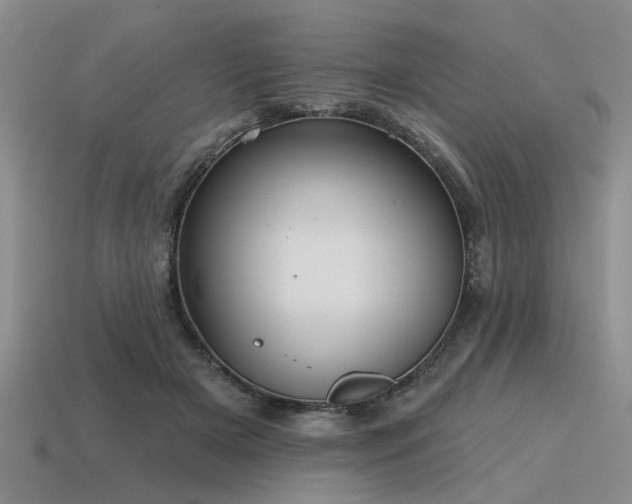 X0000115610505200911101430