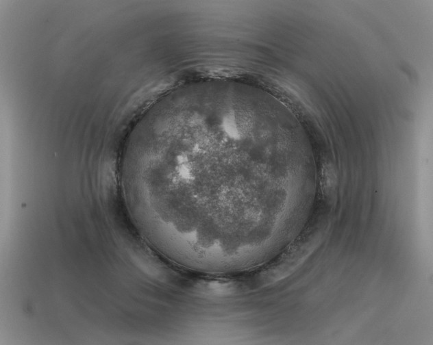 X0000115610506200911101430