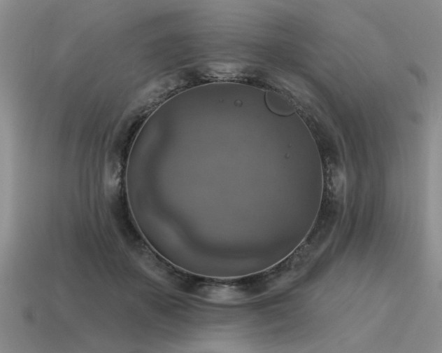 X0000115610507200911101430