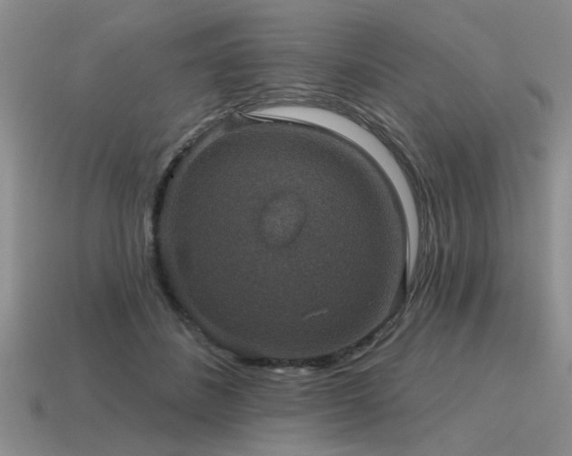 X0000115610508200911101430