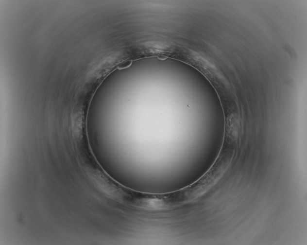 X0000115610509200911101430