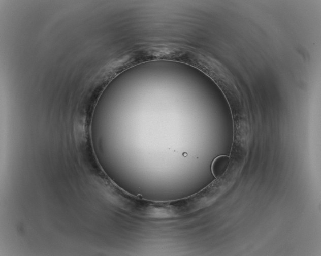X0000115610510200911101430