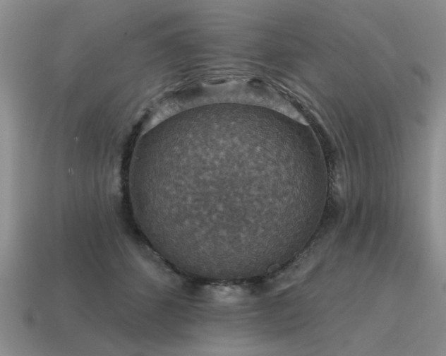X0000115610512200911101430