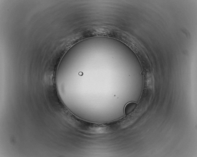 X0000115610514200911101430