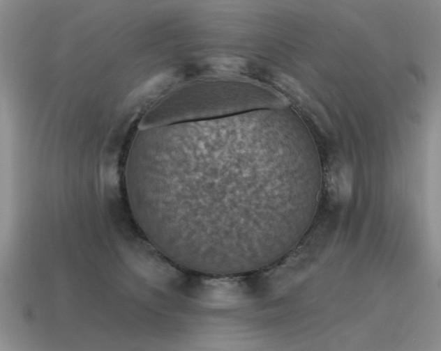 X0000115610516200911101430