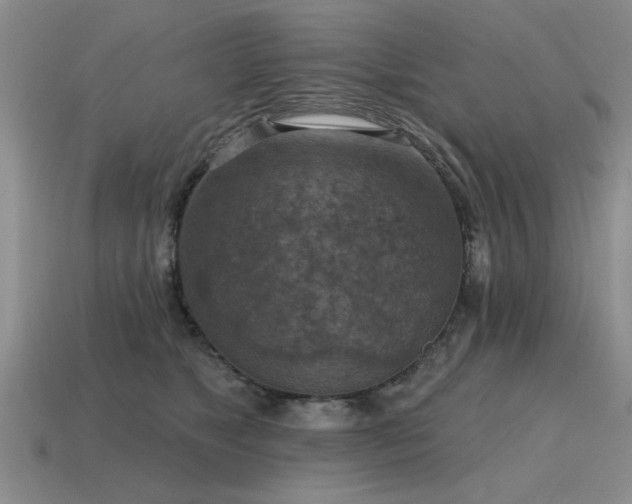 X0000115610517200911101430