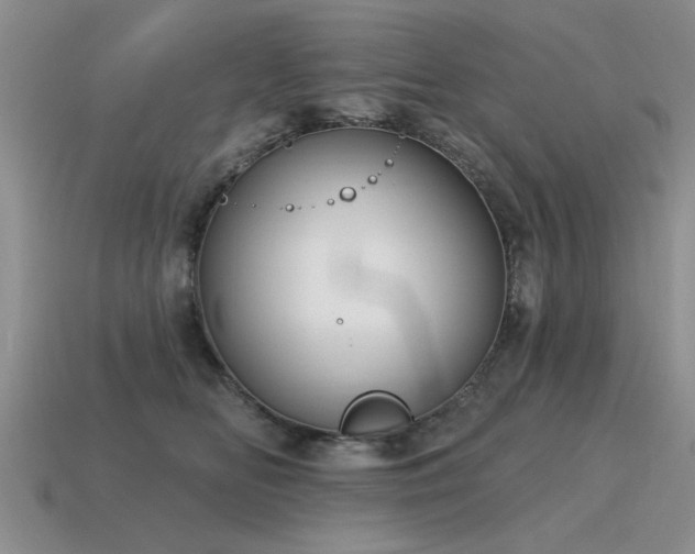 X0000115610518200911101430
