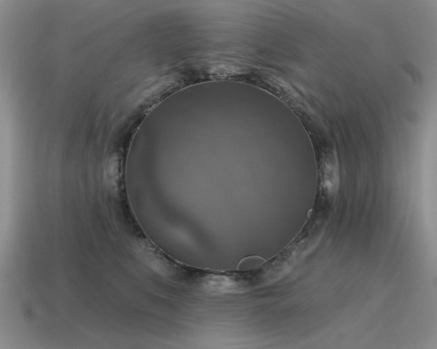X0000115610519200911101430
