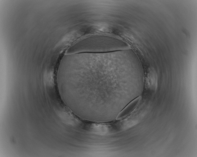 X0000115610520200911101430