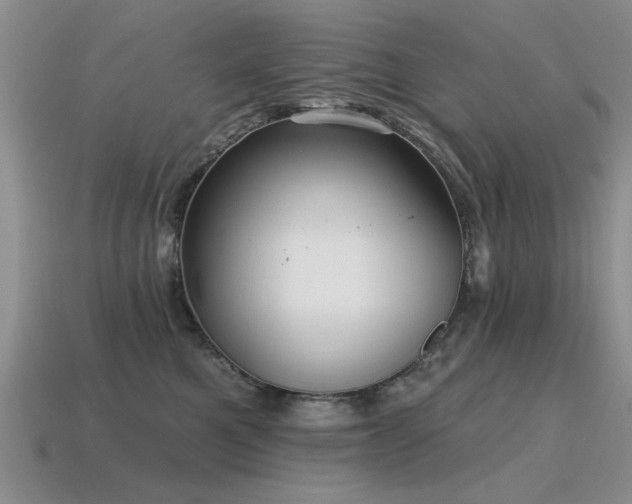 X0000115610521200911101430