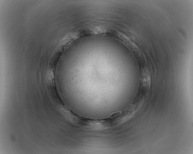 X0000115610523200911101429