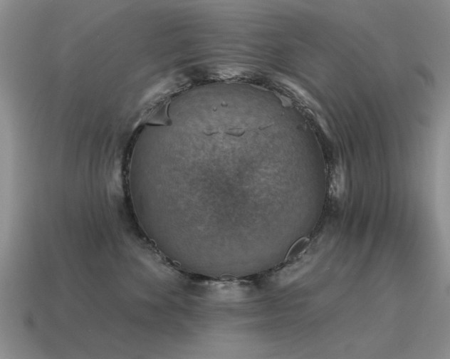 X0000115610524200911101429
