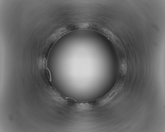 X0000115610525200911101429