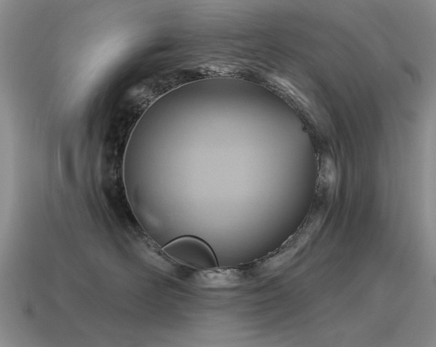 X0000115610526200911101429