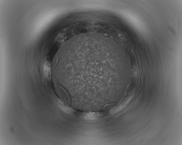 X0000115610527200911101429