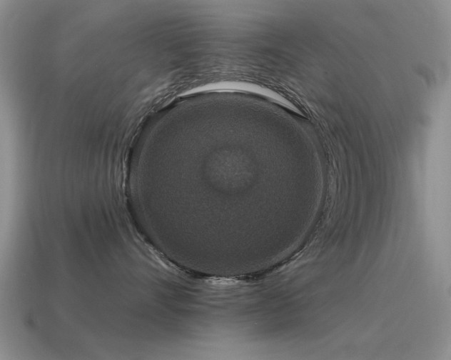 X0000115610528200911101429