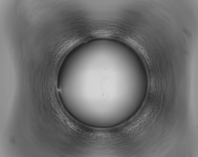 X0000115610529200911101429
