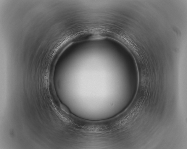 X0000115610530200911101429