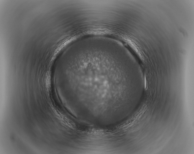 X0000115610531200911101429