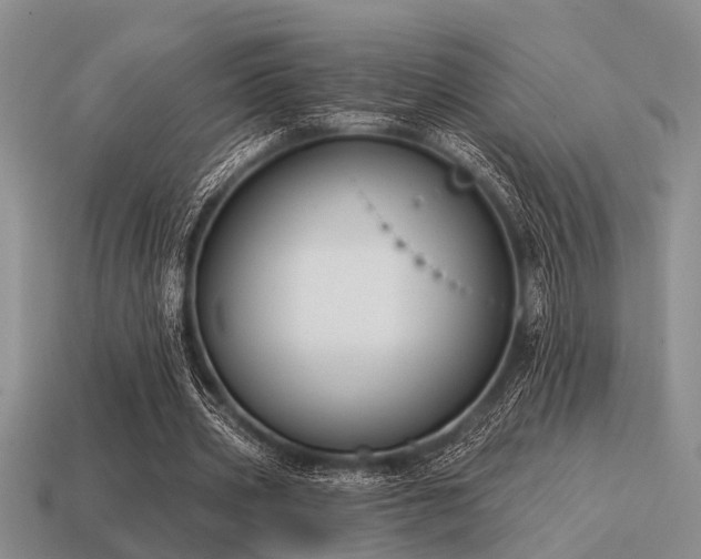 X0000115610533200911101429