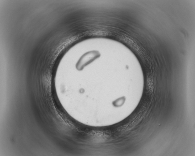 X0000115610534200911101429