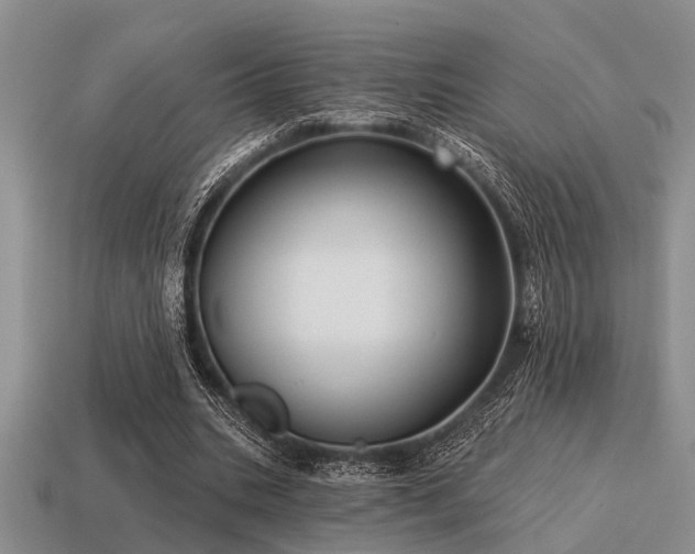 X0000115610535200911101429