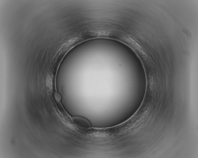 X0000115610537200911101429