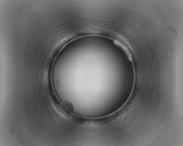 X0000115610538200911101429