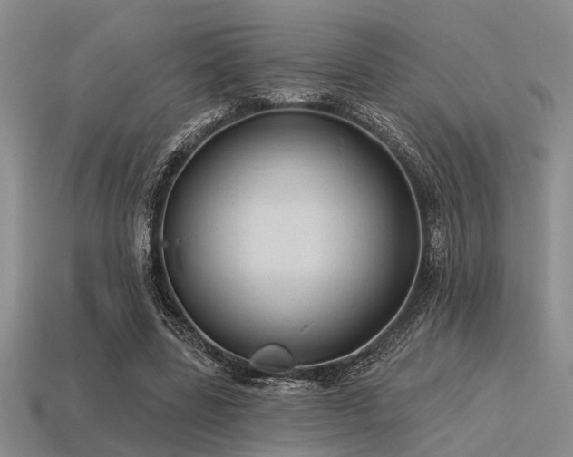 X0000115610539200911101429