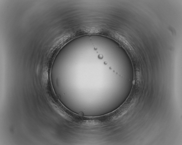 X0000115610541200911101429