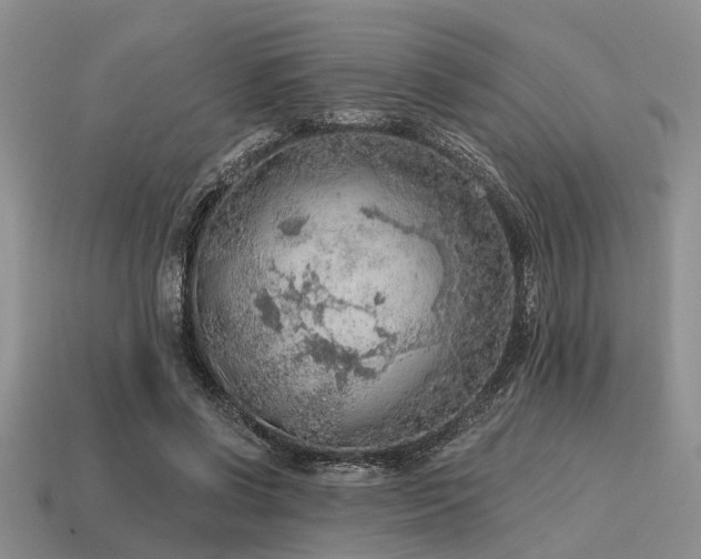 X0000115610542200911101429