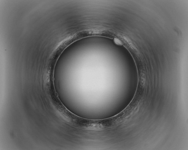 X0000115610543200911101429