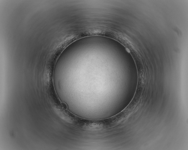 X0000115610546200911101429