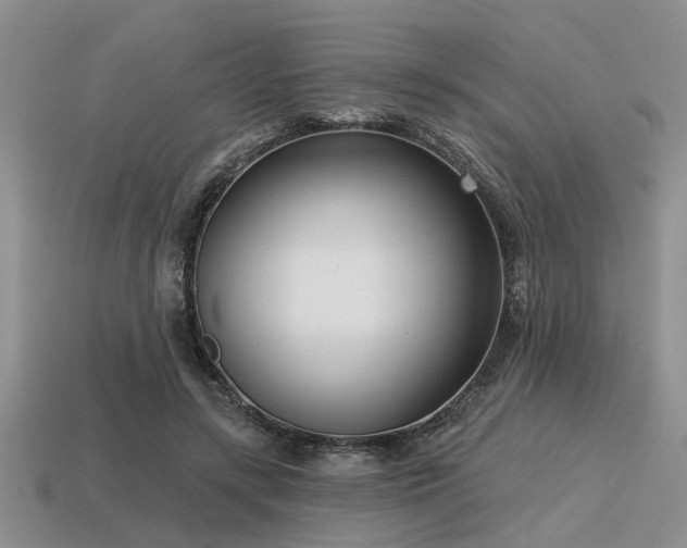 X0000115610547200911101429