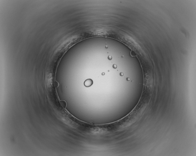 X0000115610549200911101429