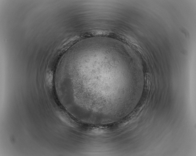 X0000115610550200911101429