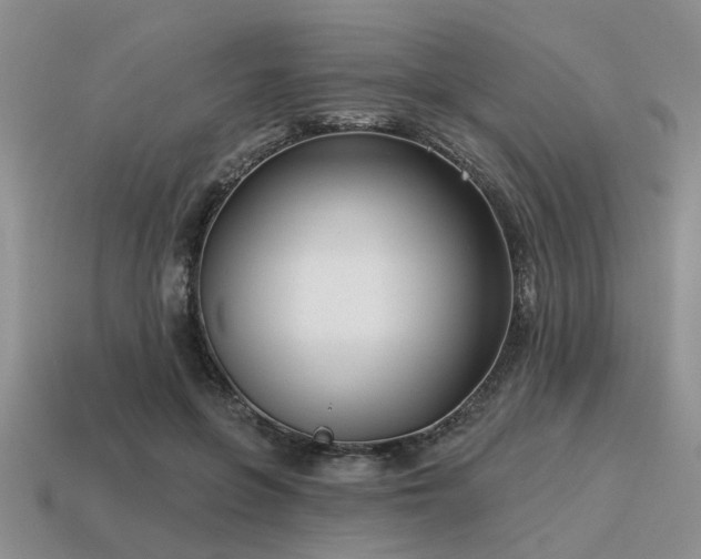 X0000115610551200911101429