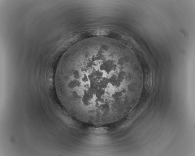 X0000115610553200911101429