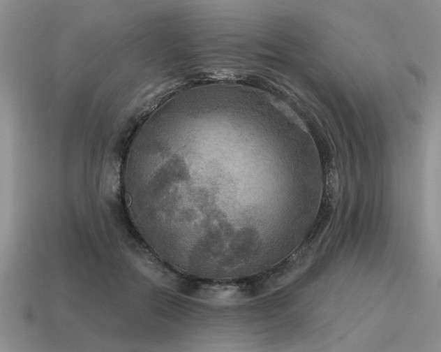 X0000115610554200911101429