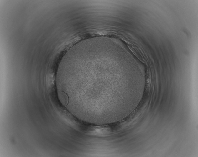 X0000115610555200911101429