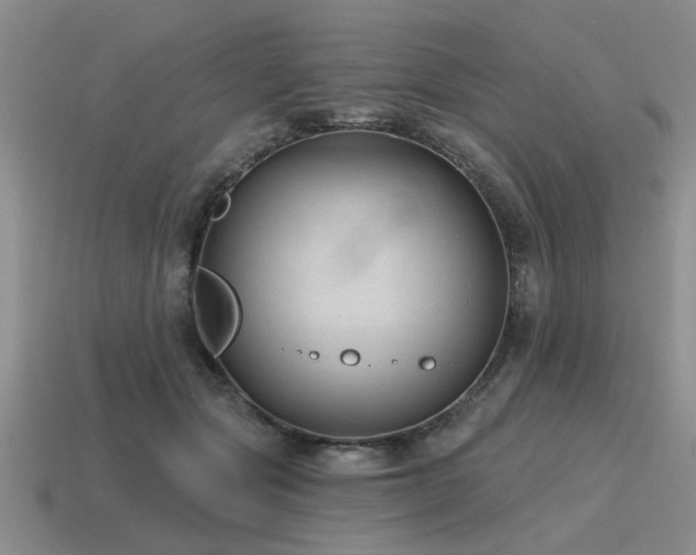 X0000115610557200911101429