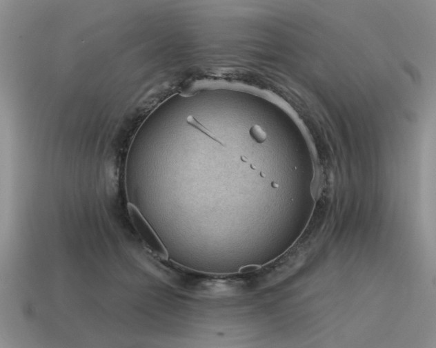 X0000115610558200911101429