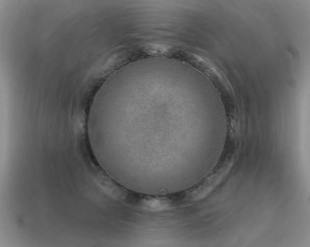 X0000115610561200911101429