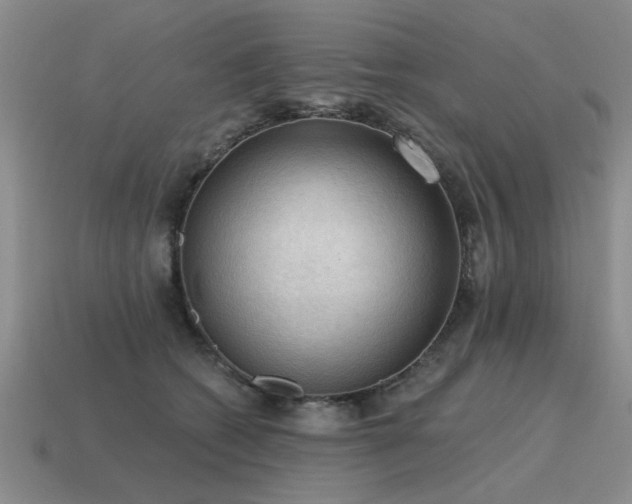 X0000115610562200911101429