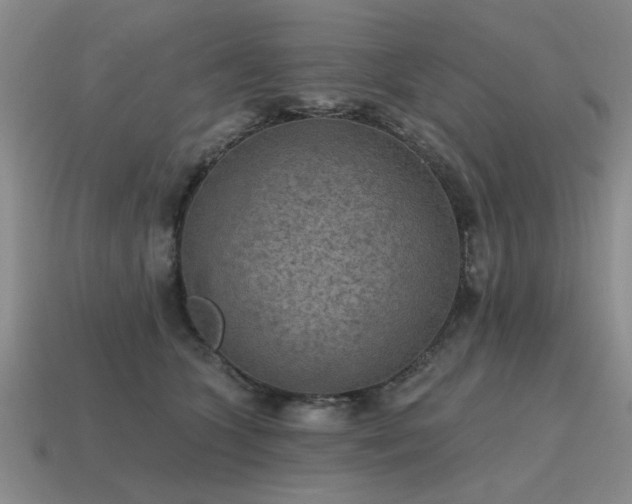 X0000115610563200911101429