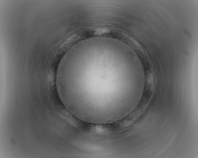 X0000115610565200911101429